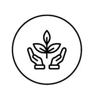 No Frills <br>Clinical Approach